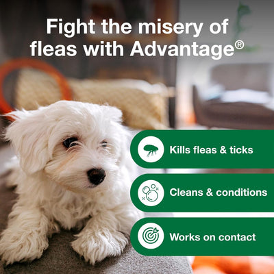 Elanco Advantage Flea & Tick Treatment, Dog Shampoo, 8-oz Bottle