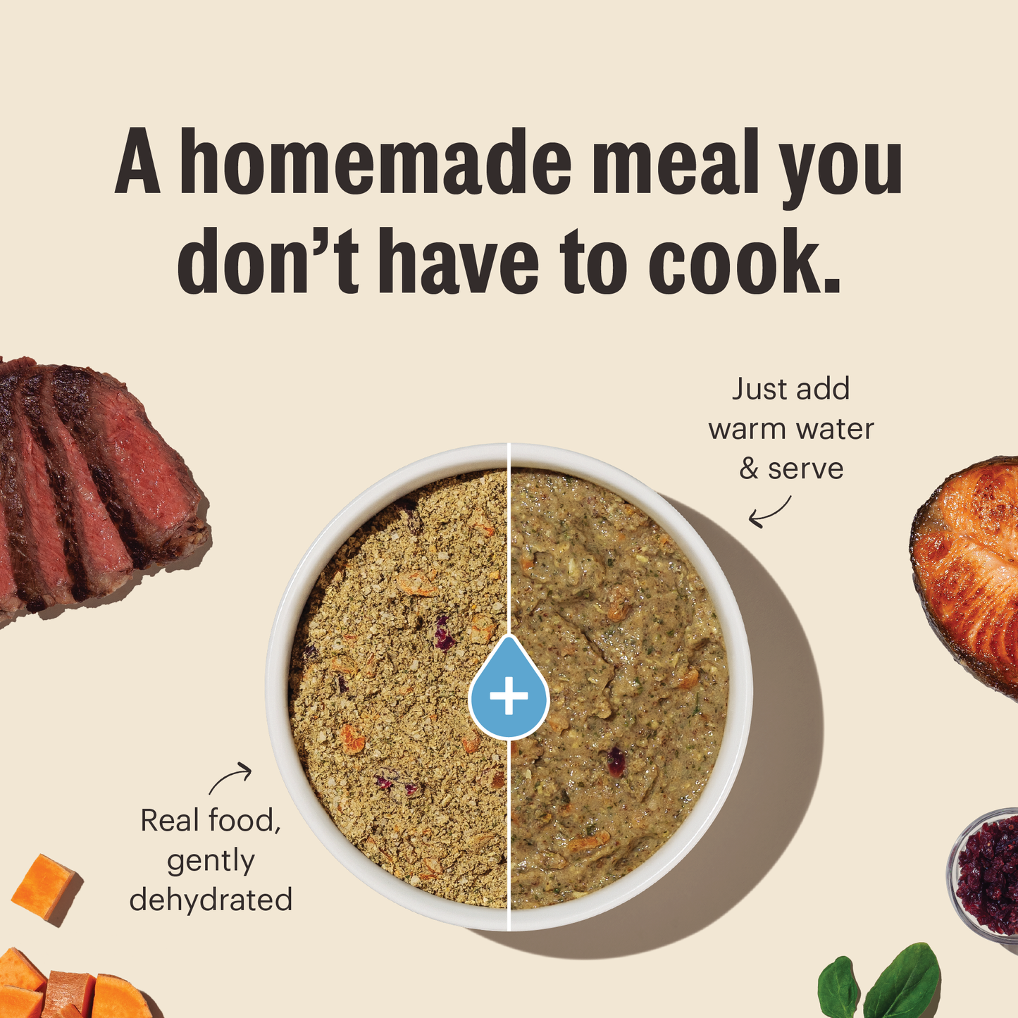 Dehydrated Limited Ingredient Duck