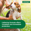 Elanco Advantage Flea & Tick Treatment, Dog Shampoo, 8-oz Bottle