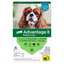 Advantage II - Elanco Flea Treatment for Dogs 11 lbs to 20 lbs