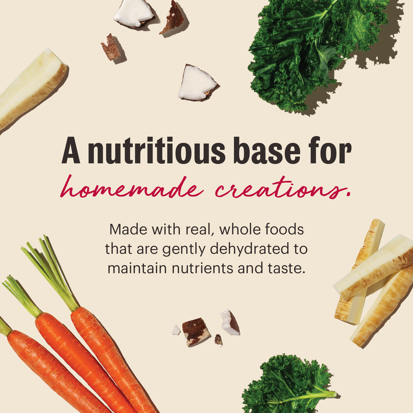 Dehydrated Grain Free Veggie, Nut & Seed Base Mix
