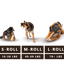Earth Animal