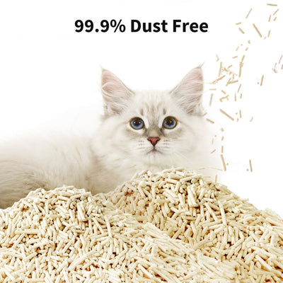 PetKty Occult Blood Test Mixed Cat Litter - 4 Bags