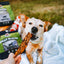 Summer BBQ Bundle