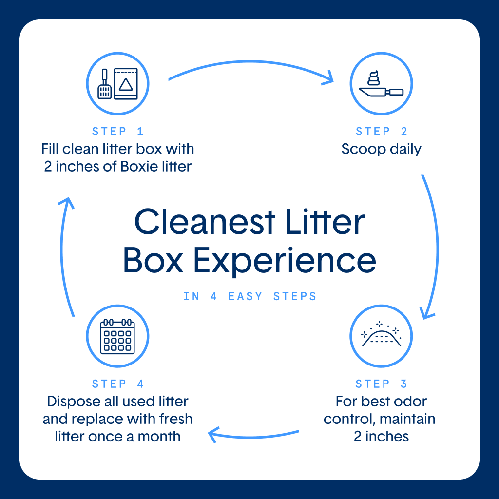 Self-Cleaning Probiotic Crystal Non-Clumping Cat Litter