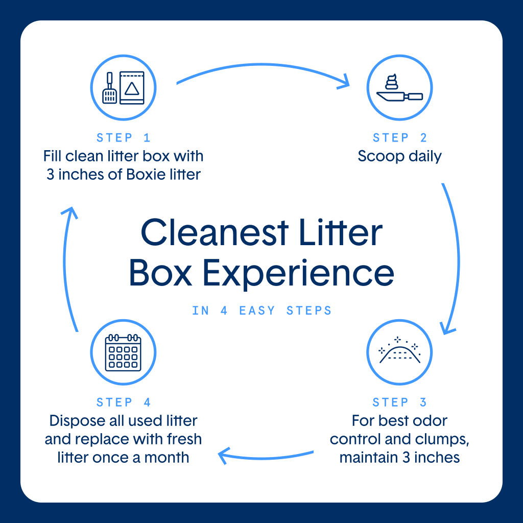 Eco Plant-Based Biodegradable Cat Litter