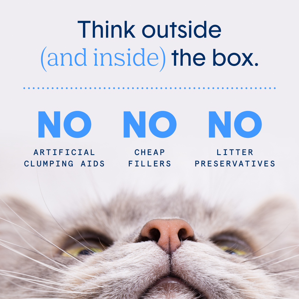 Self-Cleaning Probiotic Crystal Non-Clumping Cat Litter