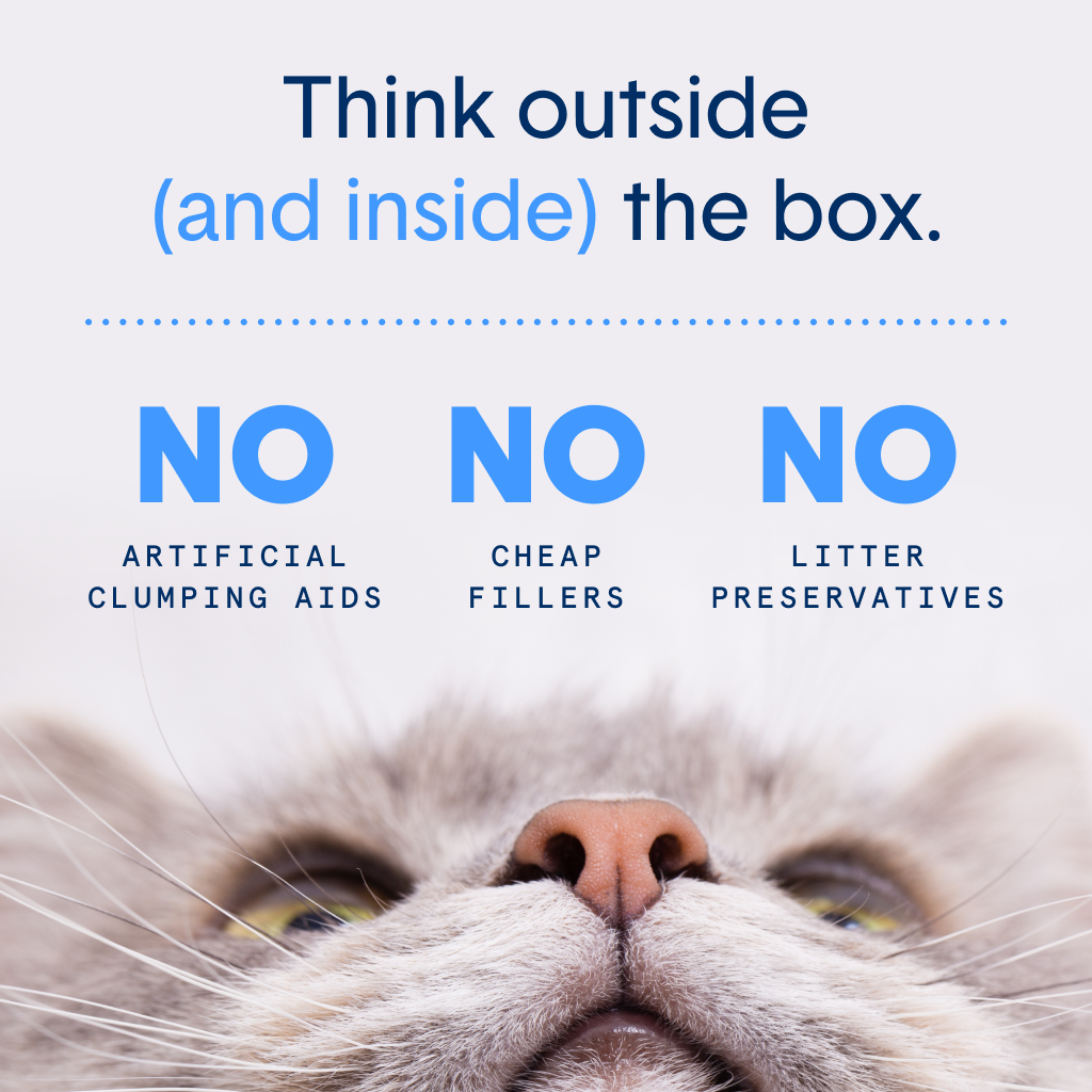 Eco Plant-Based Biodegradable Cat Litter