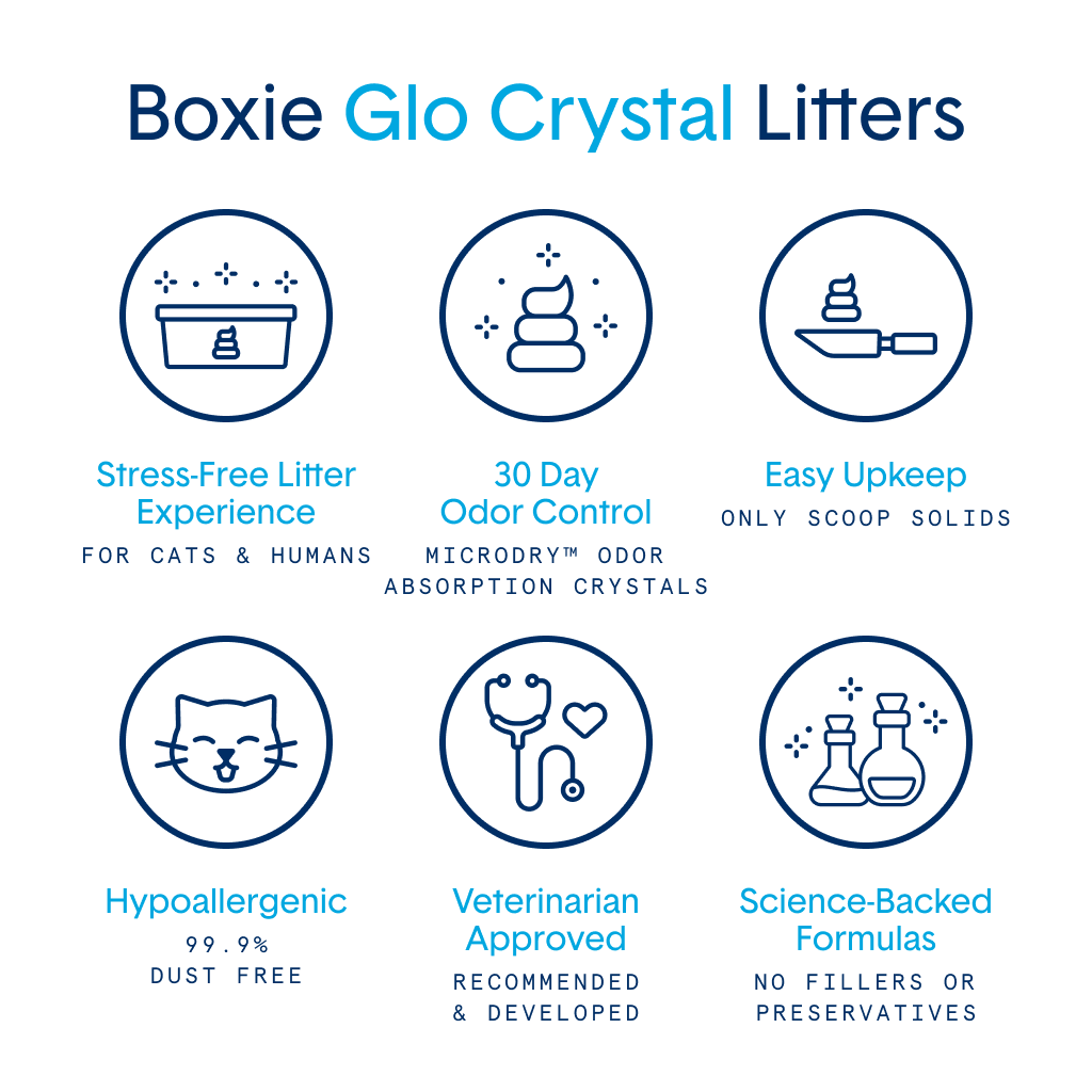 Glo Natural Attractions Non-Clumping Crystal Cat Litter