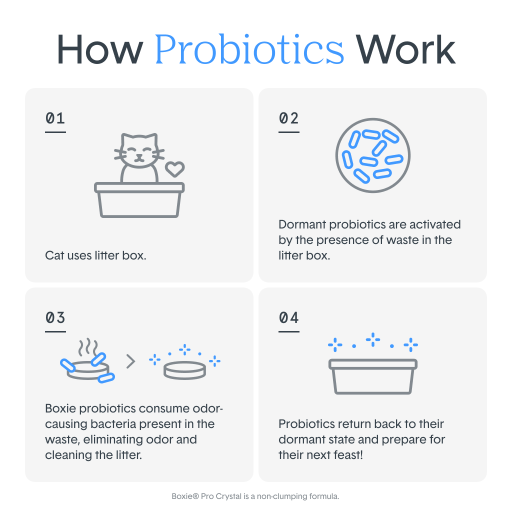 Self-Cleaning Probiotic Crystal Non-Clumping Cat Litter