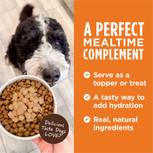 Instinct Healthy Cravings Real Beef Recipe 3-oz, Dog Food Topper