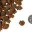 Fromm Salmon Flavor Snackitties Cat Treats