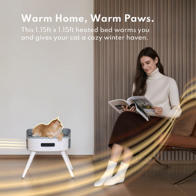 Pet-Friendly Space Heater PH20