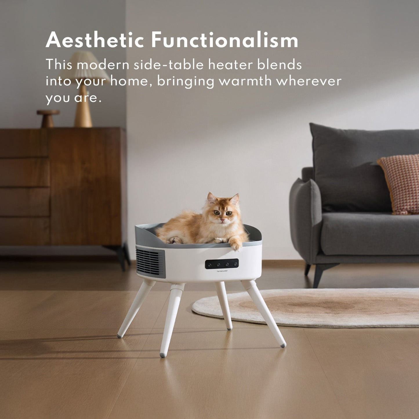 Pet-Friendly Space Heater PH20