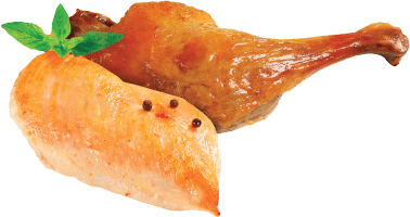 TAPA by RAWZ® Chicken Breast and Duck Recipe in Wholesome Broth 1.76-oz, Wet Cat Food Topper