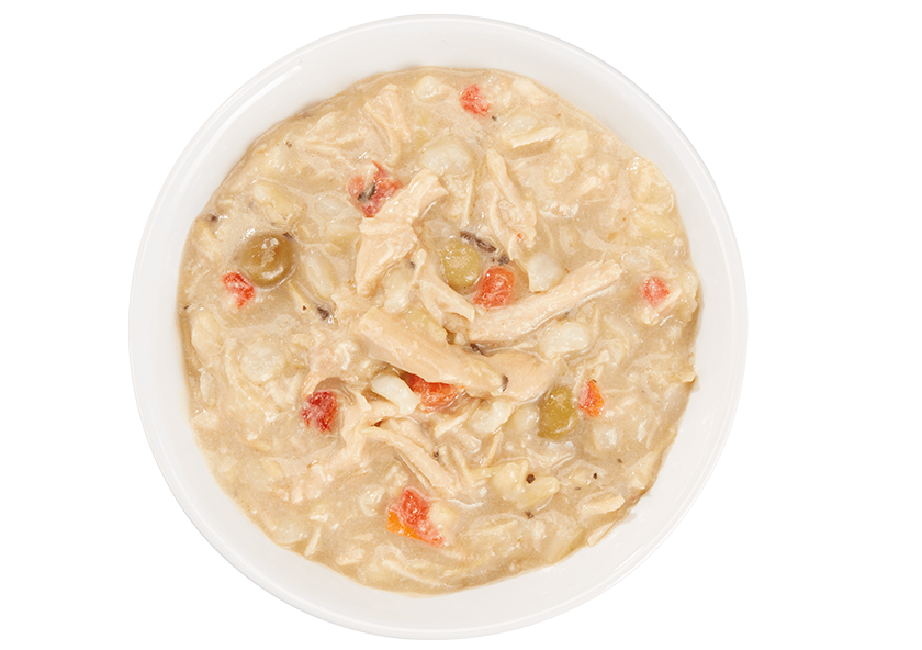 Tiki Dog Taste Of Thailand Thai Chicken Curry 3-oz, Wet Dog Food