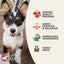 Fromm Classic Puppy Chicken & Salmon Pate Wet Dog Food