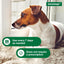 Elanco Advantage Flea & Tick Treatment, Dog Shampoo, 8-oz Bottle