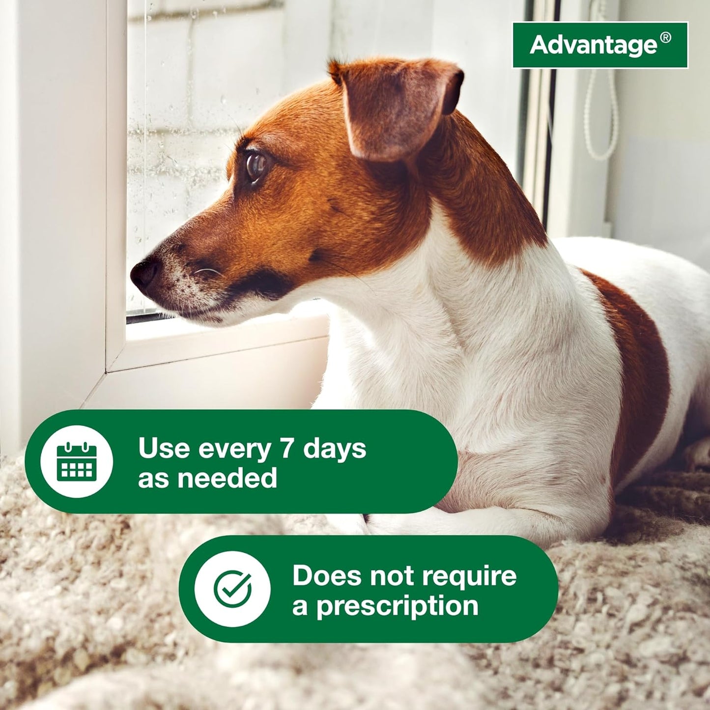 Elanco Advantage Flea & Tick Treatment, Dog Shampoo, 8-oz Bottle