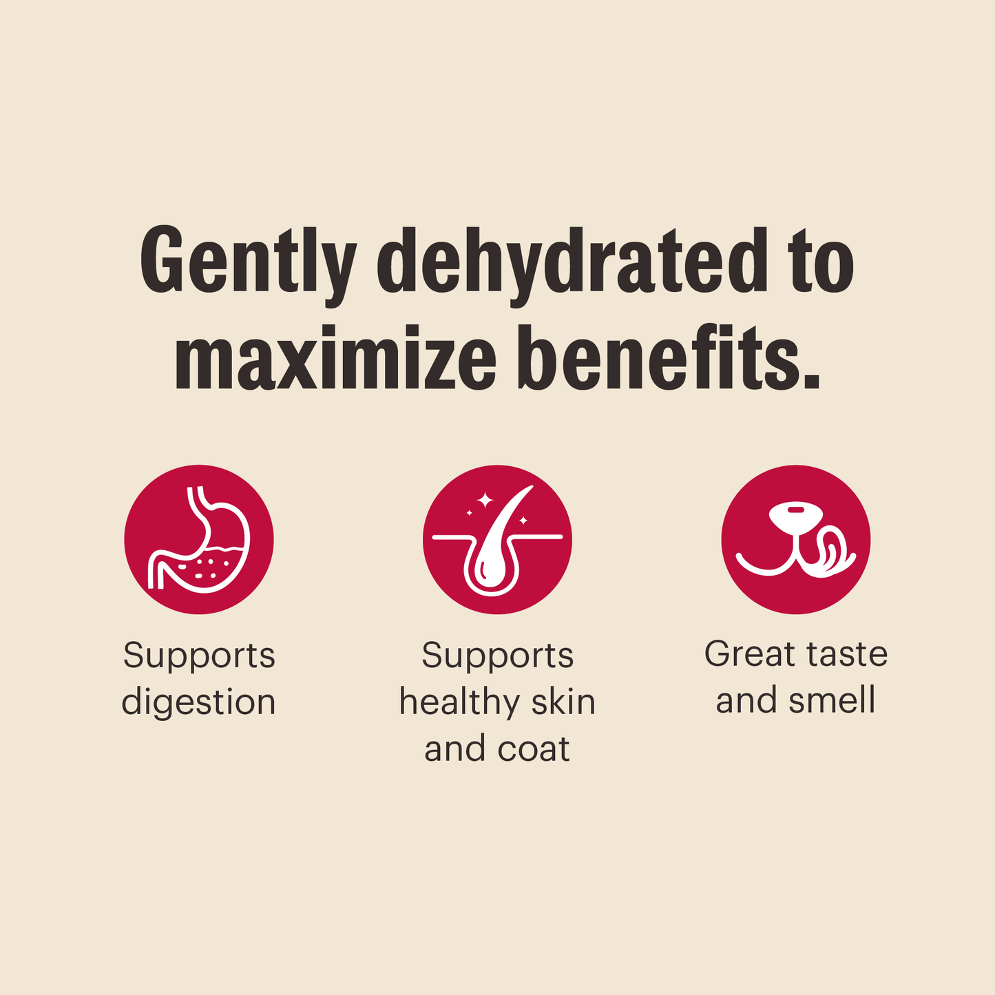 Dehydrated Grain Free Fruit & Veggie Base Mix