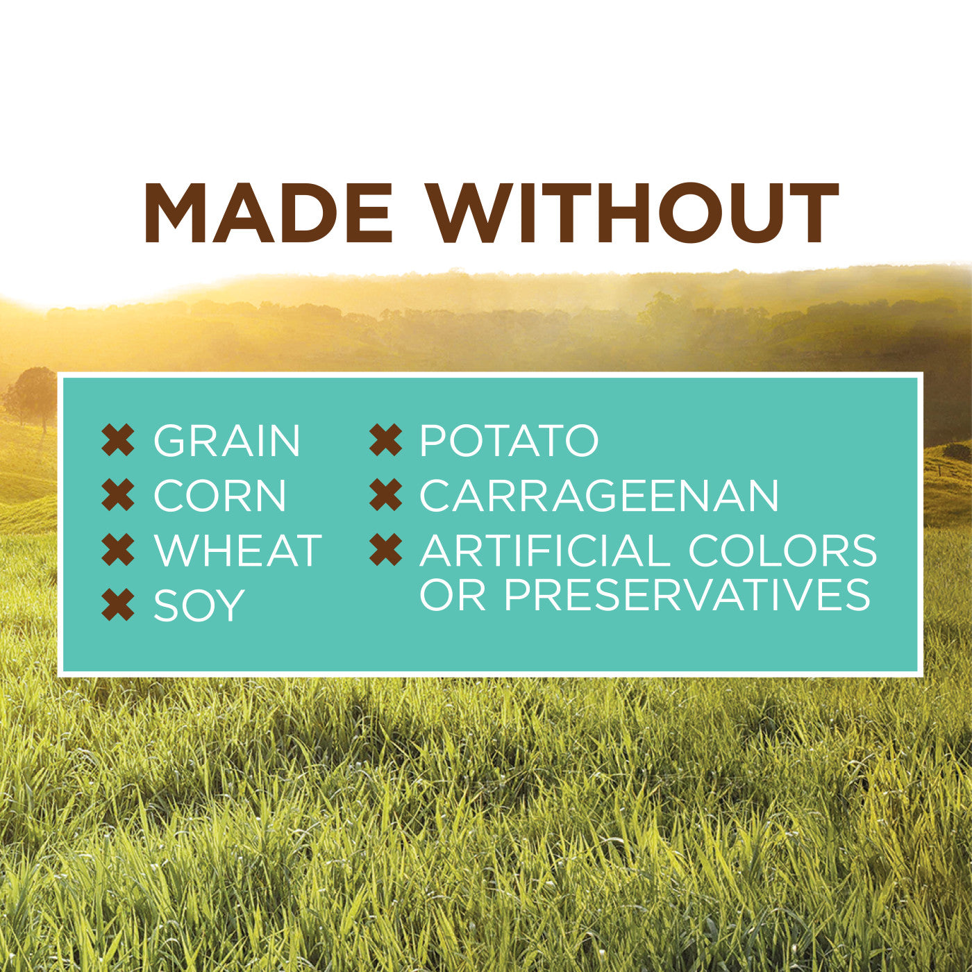 Instinct Original Real Chicken Recipe For Puppies, Wet Dog Food, 13.2-oz Case Of 6